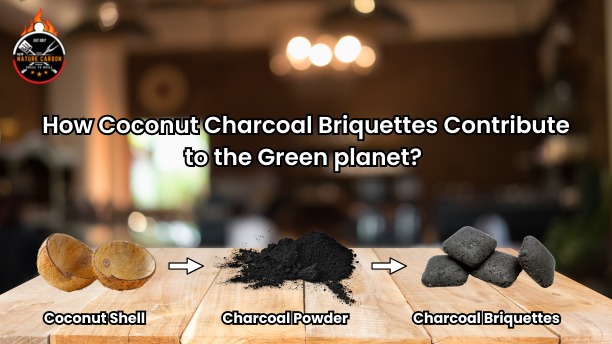 From Waste to Best: How Coconut Charcoal Briquettes Contribute to the Green planet?