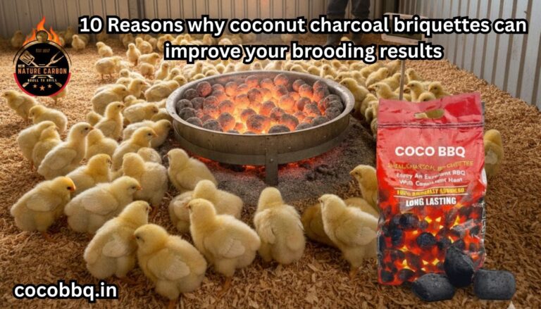 10 Reasons why coconut charcoal briquettes can improve your brooding results
