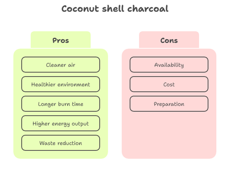The Positive Impact of Coconut Shell Charcoal for Cooking