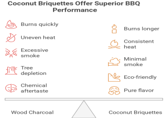 Best Charcoal for Home BBQ in Bangalore