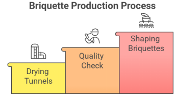 From Coconut Farm to BBQ Briquette: Inside the Supply Chain Journey