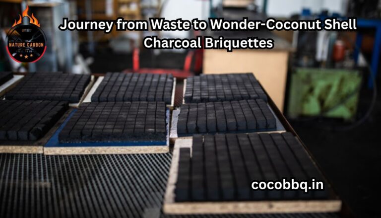 Journey from Waste to Wonder-Coconut Shell Charcoal Briquettes