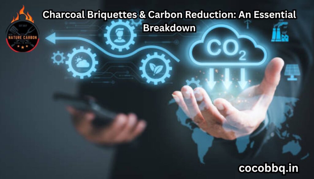 Charcoal Briquettes & Carbon Reduction: An Essential Breakdown