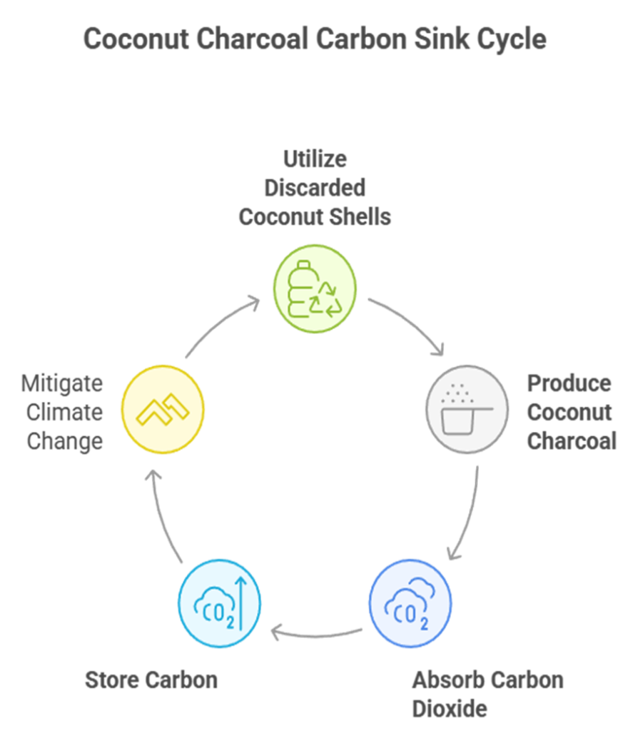 Natural Carbon Sink: Coconut Charcoal for Low-Carbon Future