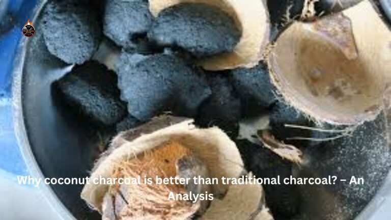 Why coconut charcoal is better than traditional charcoal? – An Analysis