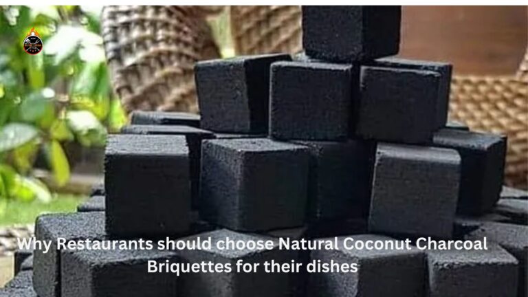 Why Restaurants should choose Natural Coconut Charcoal Briquettes for their dishes