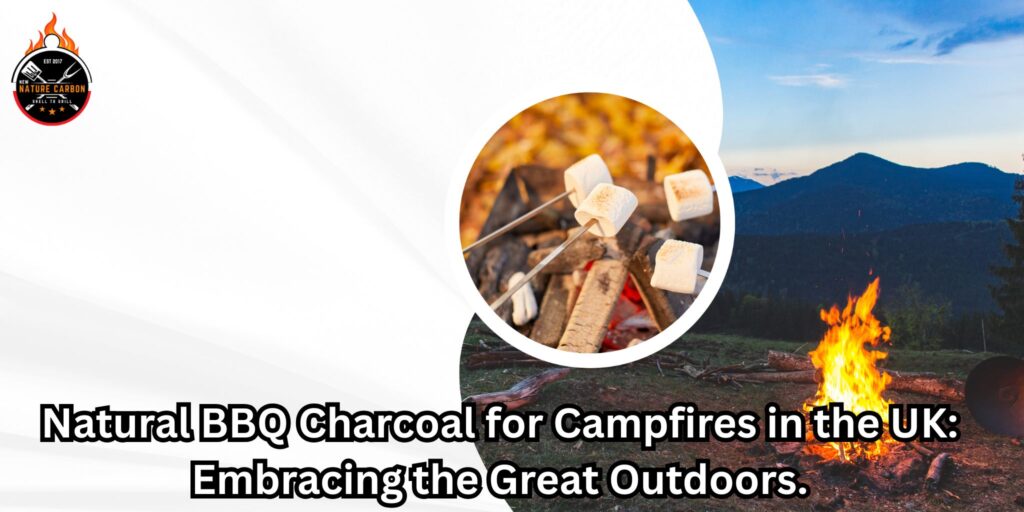 Natural BBQ Charcoal for Campfires in the UK: Embracing the Great Outdoors.