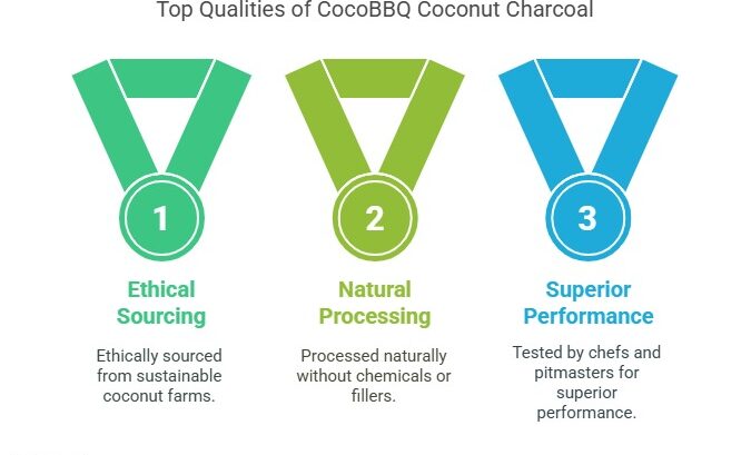 5 Reasons whycoconut charcoal is the future of BBQ in 2025
