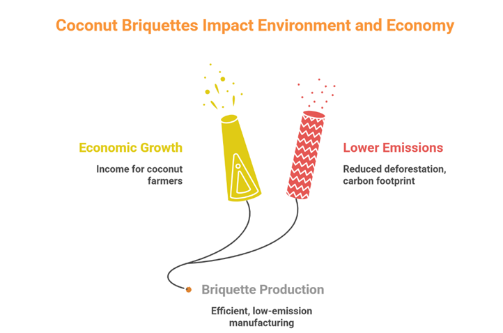 Coconut Shell Charcoal Briquettes and Their Uses
