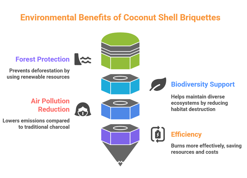 Coconut Shell Charcoal Briquettes and Their Uses