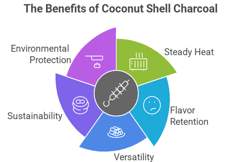 Best Coconut Shell Charcoal Briquettes for BBQ in India