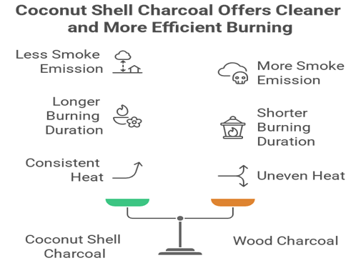 Coconut Shell Charcoal vs Wood Charcoal: What Makes It a Cleaner Choice?
