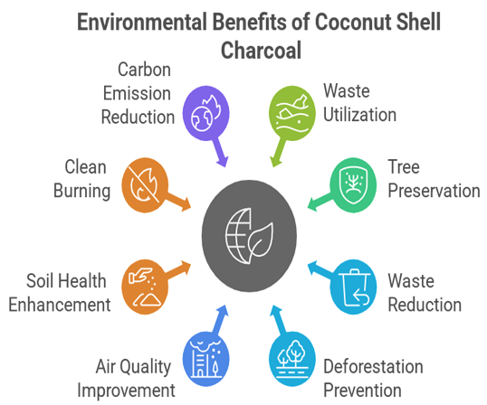 Coconut Shell Charcoal vs Wood Charcoal: What Makes It a Cleaner Choice?