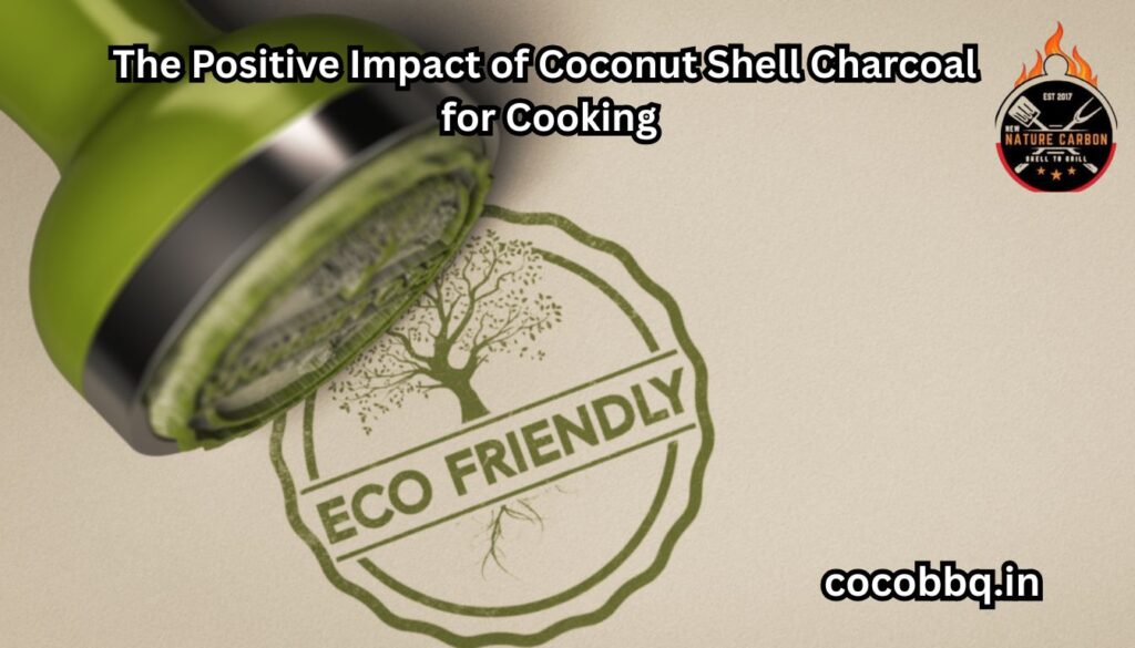 The Positive Impact of Coconut Shell Charcoal for Cooking