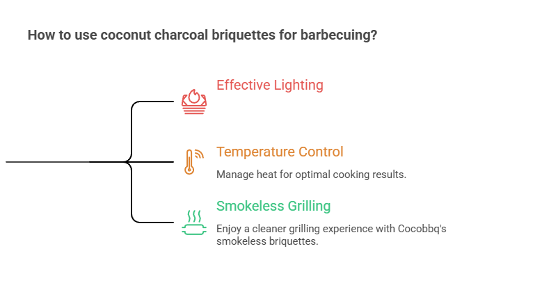 The Ultimate Guide to Use Coconut Charcoal Briquettes for Barbecuing