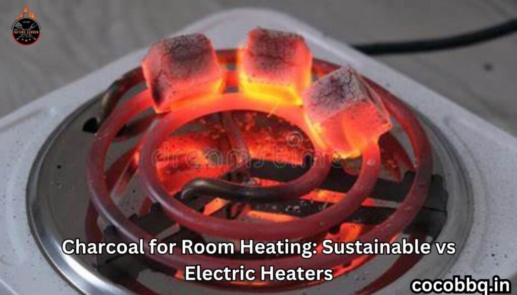 Coconut Charcoal: Sustainable Heating Alternative to Electric Heaters